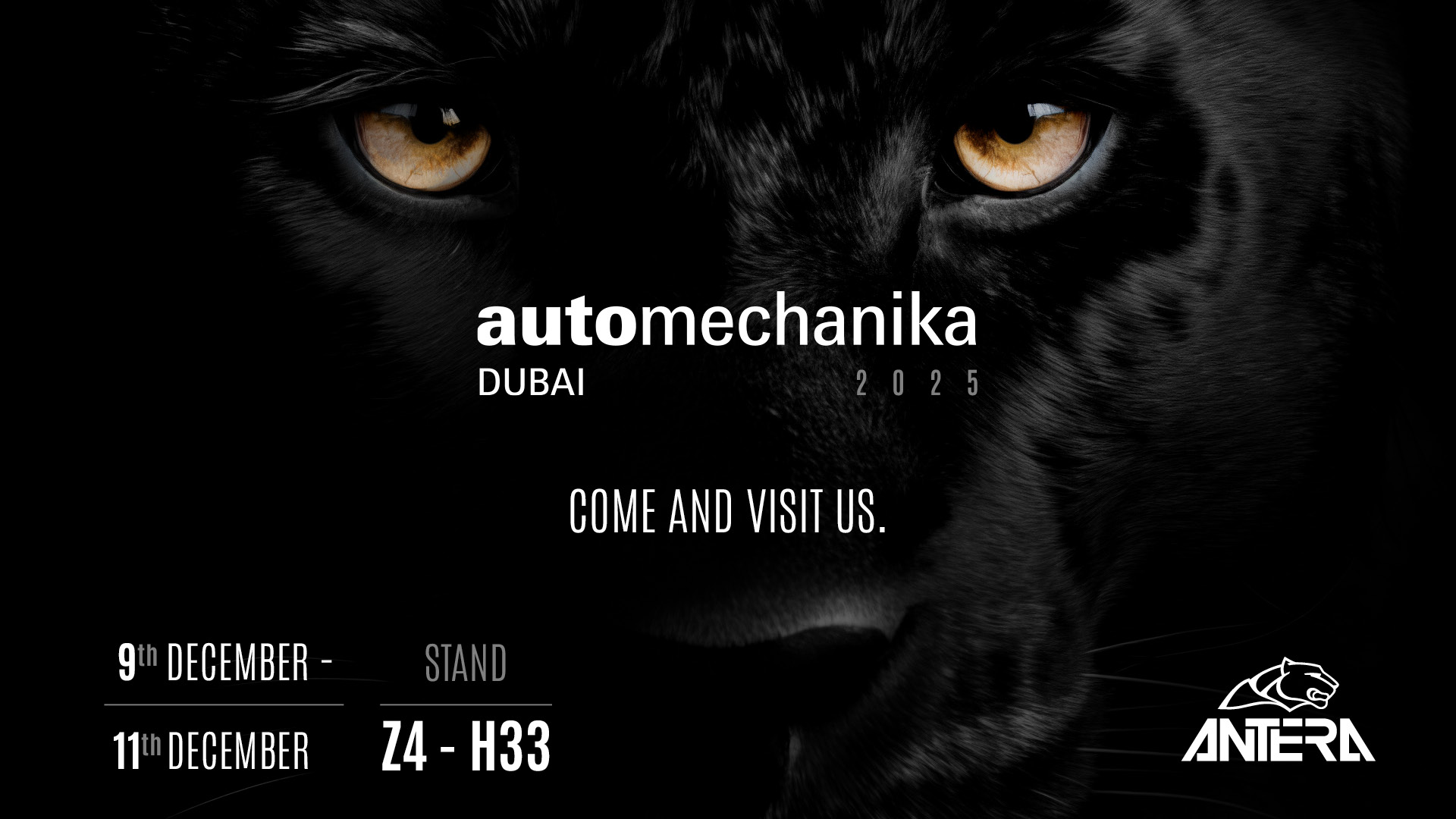 Antera auf der Automechanika Dubai 2025!