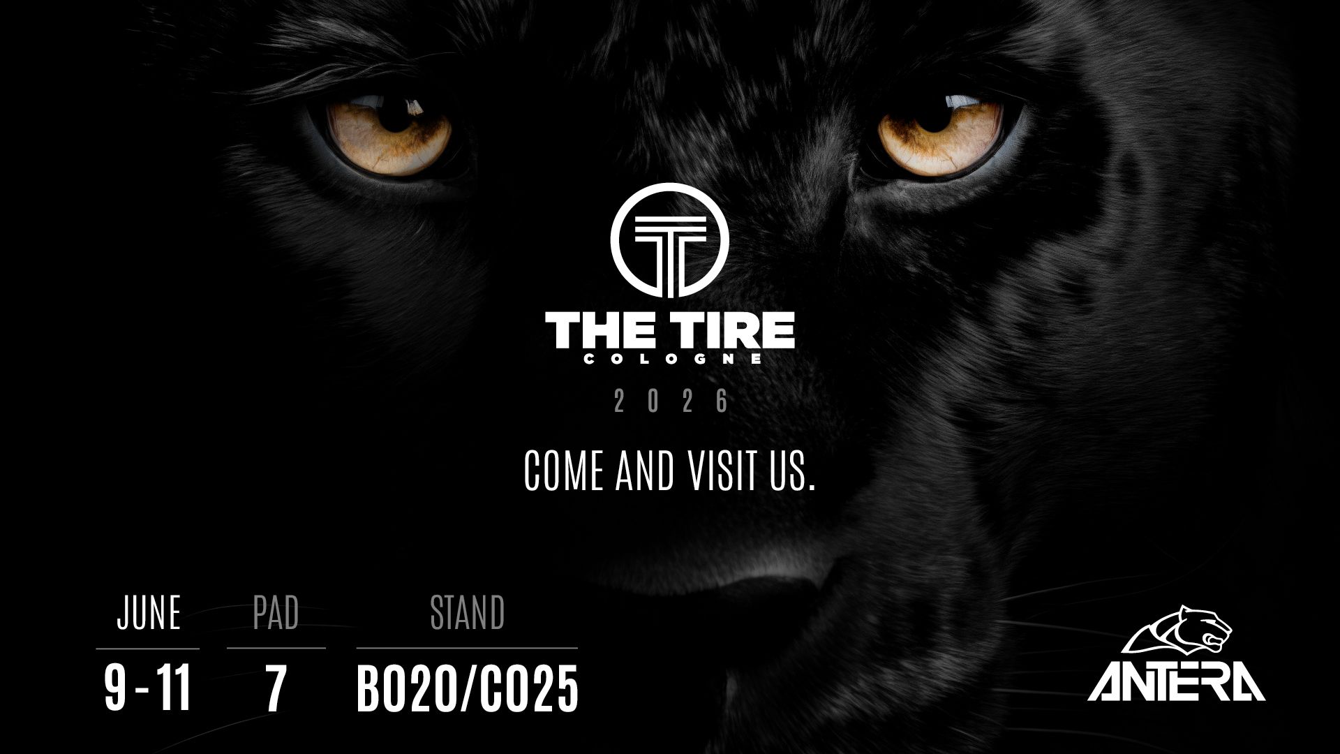G.M.P. Group at THE TIRE 2026!